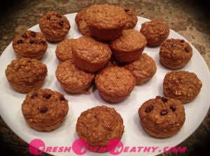 protein oatmeal muffins